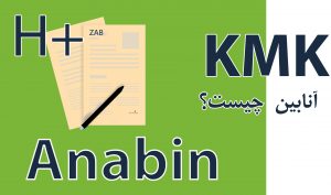 Anabin آنابین چیست؟